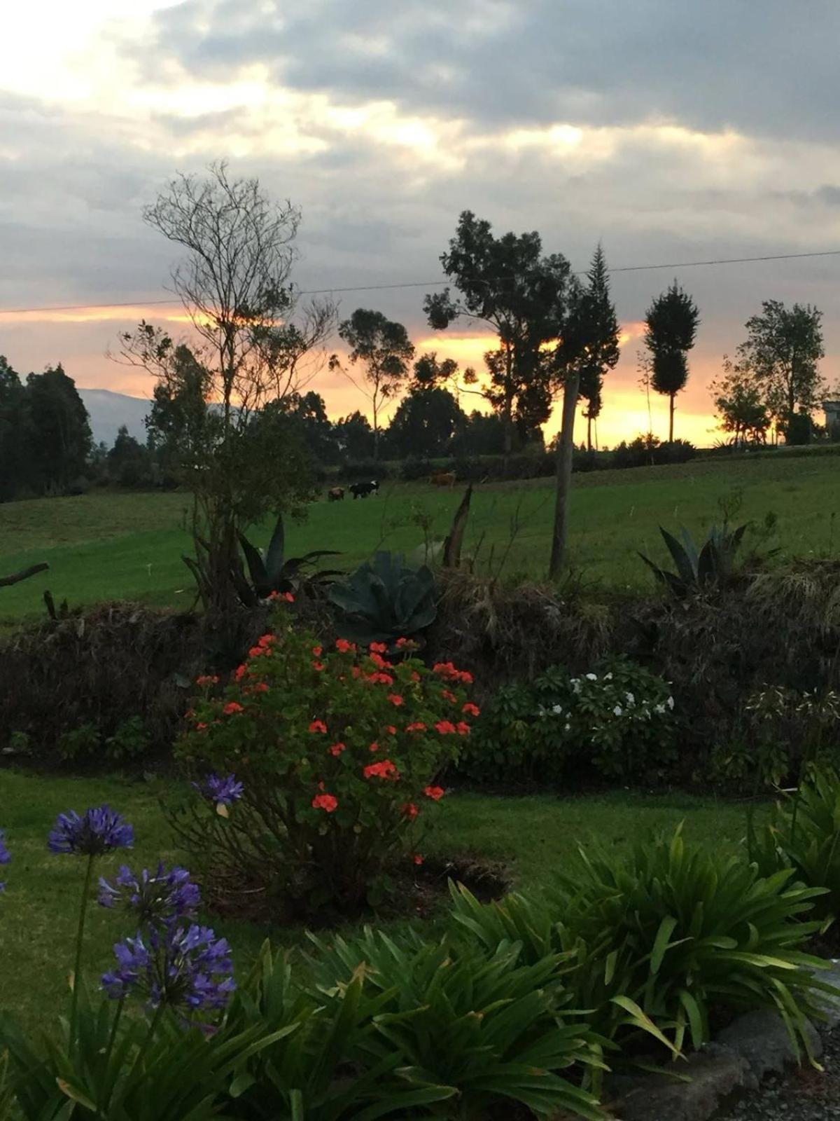Cottage house Cayambe Εξωτερικό φωτογραφία